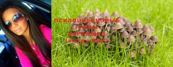 амф Балахна