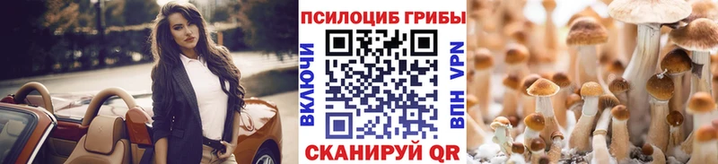 Псилоцибиновые грибы Psilocybine cubensis  Покровск 